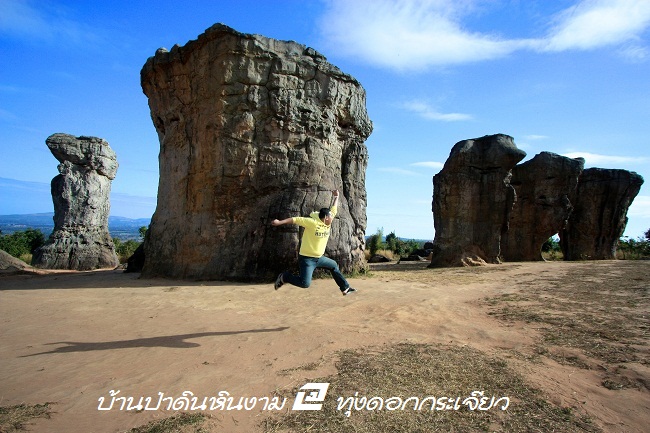 ที่พัก บ้านพัก ป่าหินงาม ทุ่งดอกกระเจียว มอหินขาว ตาดโตน ชัยภูมิ บ้านป่าดินหินงาม (32).jpg