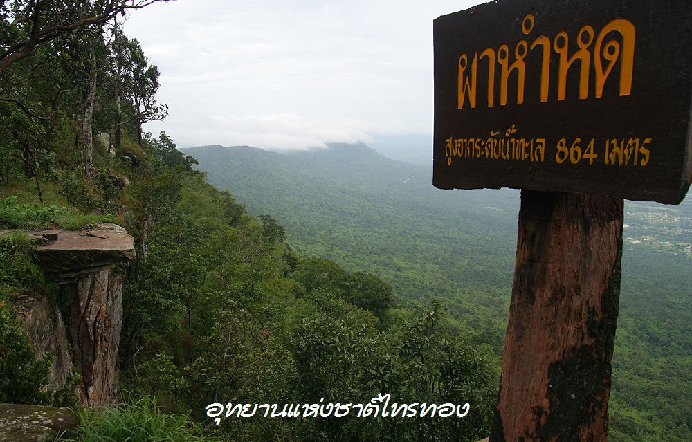 ที่พัก บ้านพัก ป่าหินงาม ทุ่งดอกกระเจียว มอหินขาว ตาดโตน ชัยภูมิ บ้านป่าดินหินงาม (38)....jpg